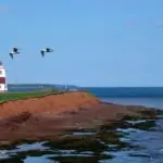 Vivir en Prince Edward Island