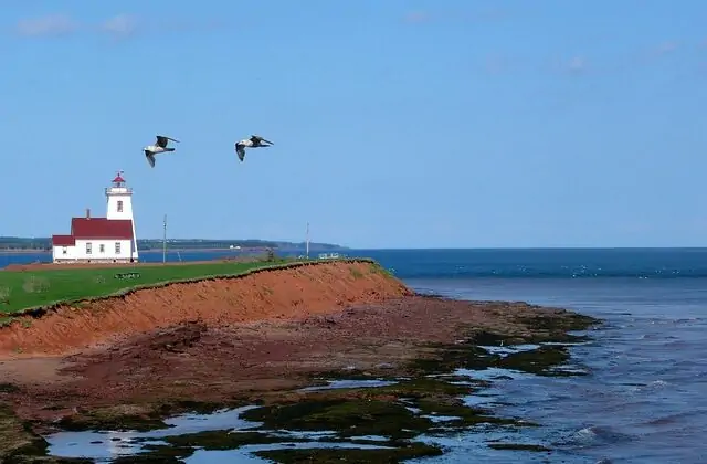 Vivir en Prince Edward Island, una guía para inmigrantes